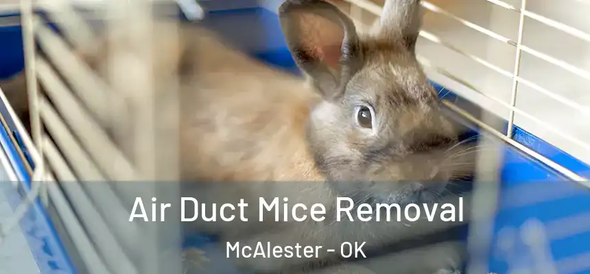 Air Duct Mice Removal McAlester - OK