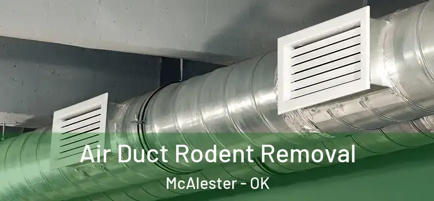  Air Duct Rodent Removal McAlester - OK