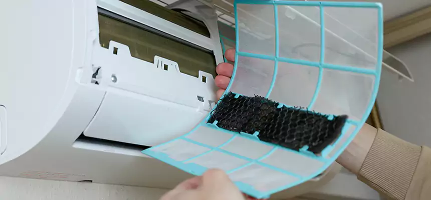 Gentle Ductwork Odor-Control Pet Dander Duct Cleaning in McAlester, OK