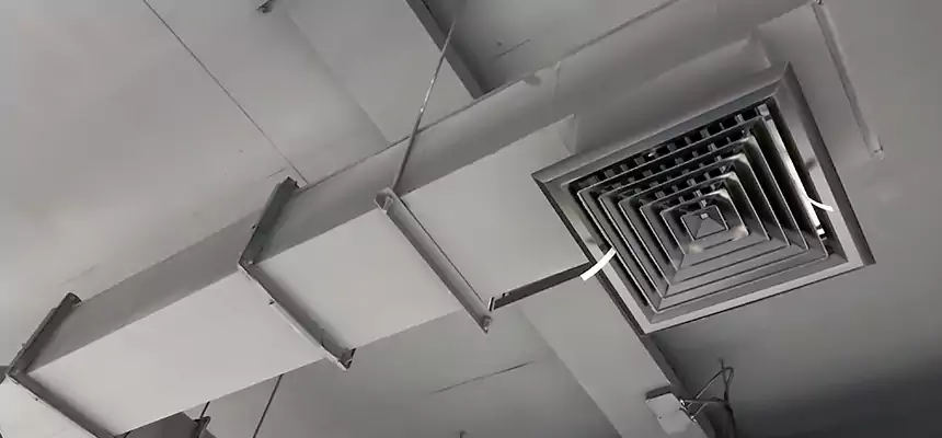 Our Rodent Droppings In Vents Services in McAlester, OK